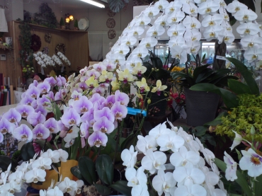 静岡県磐田市の花屋 フラワーショップ なか本にフラワーギフトはお任せください 当店は 安心と信頼の花キューピット加盟店です 花キューピットタウン